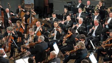String instruments including violins, cellos and double basses being played by musicians in the Oxford Philharmonic Orchestra